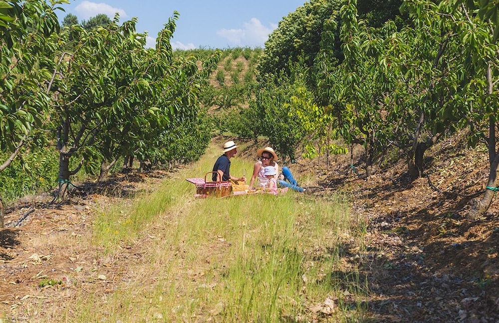 Quinta da Barroca