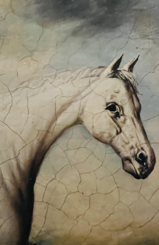 New Flying Horse