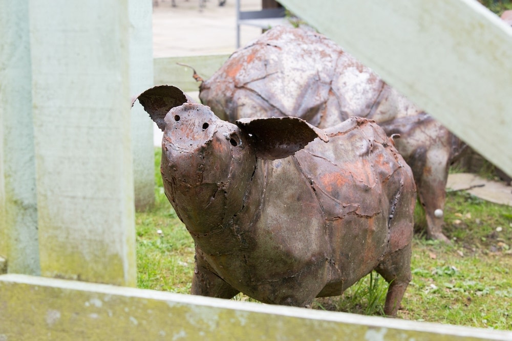 The Curious Pig in the Parlour