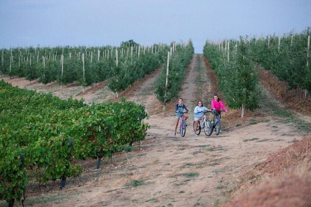 Quinta da Barroca