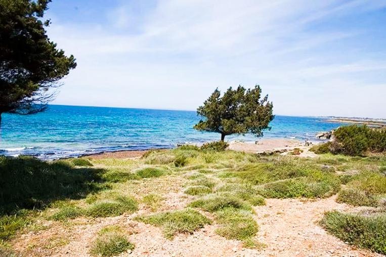 A House Between Ancient Olympia and the Ionian Sea