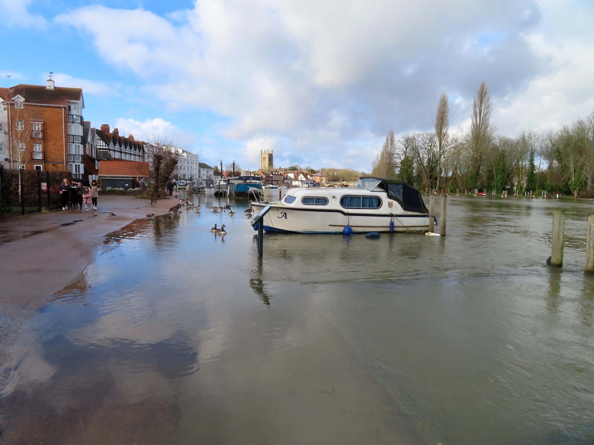 The River Thames at Henley-on-Thames with moored boats, geese and St Mary's church tower, start area of the Thames Marathon