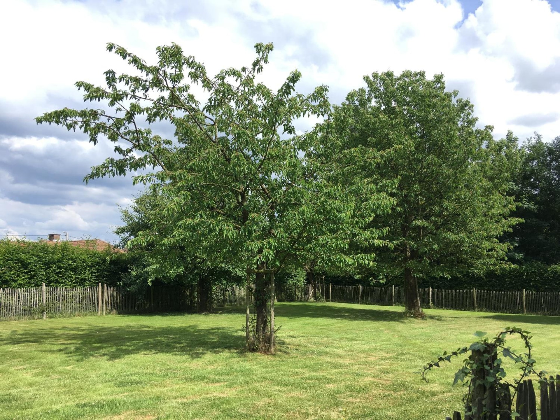 Neerhof