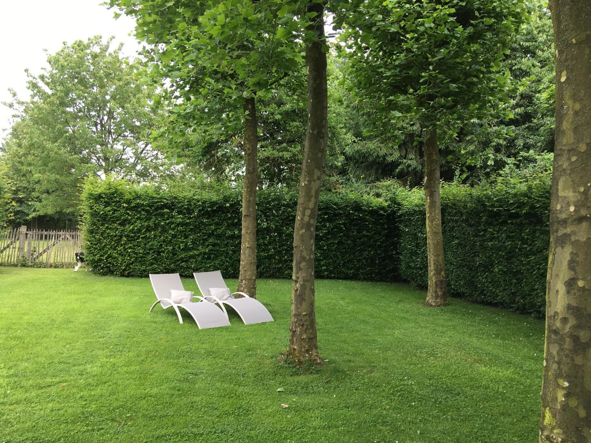 Neerhof
