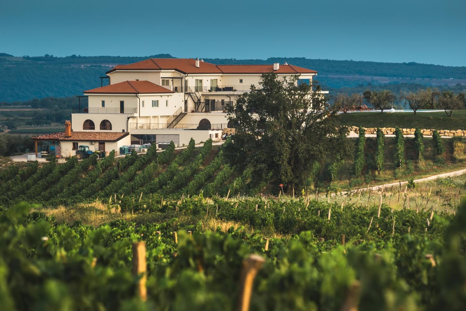 Wine Residence Cattunar