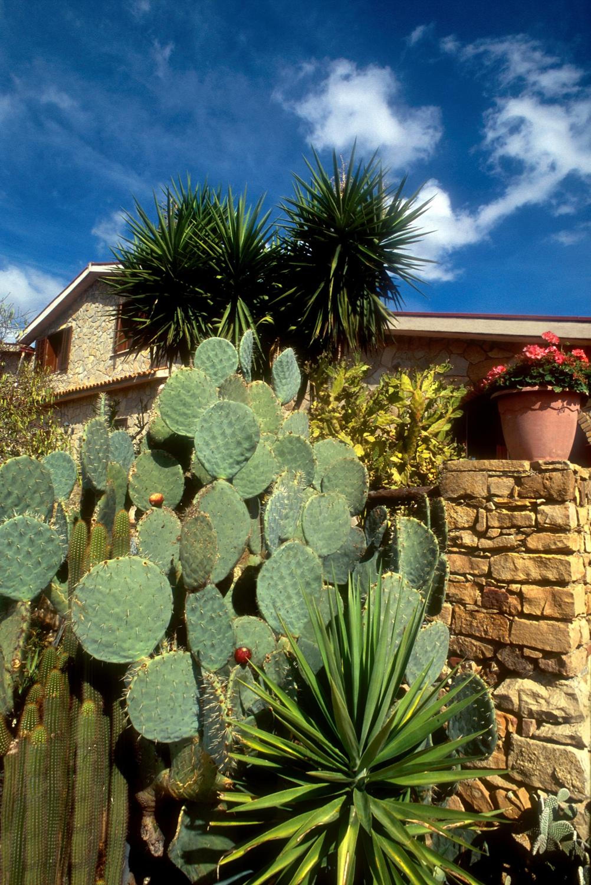 Villa Dafne