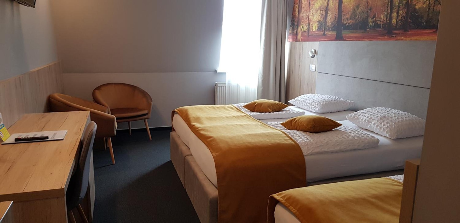 Hotel Alpina