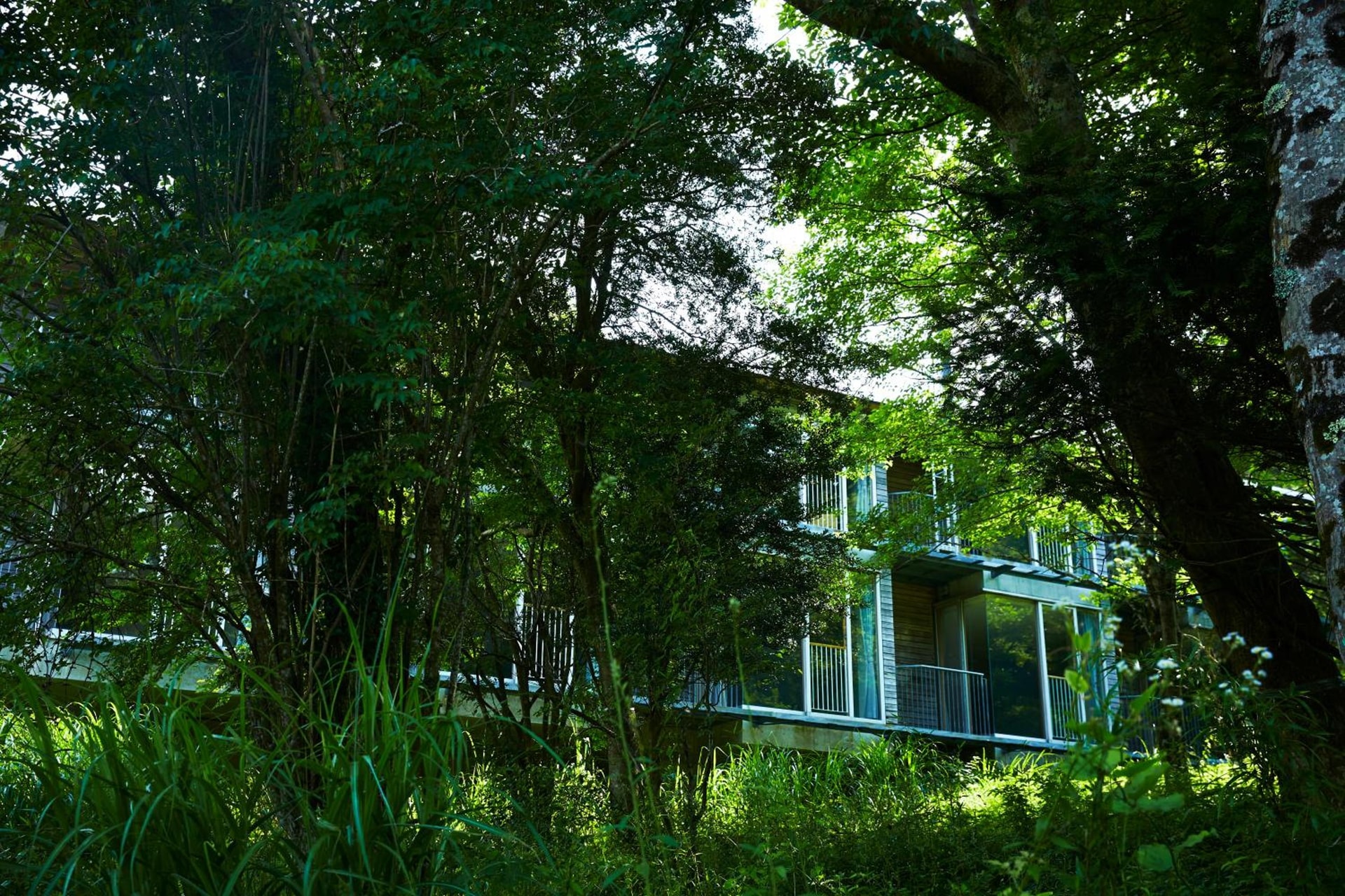 Hakone Retreat Före