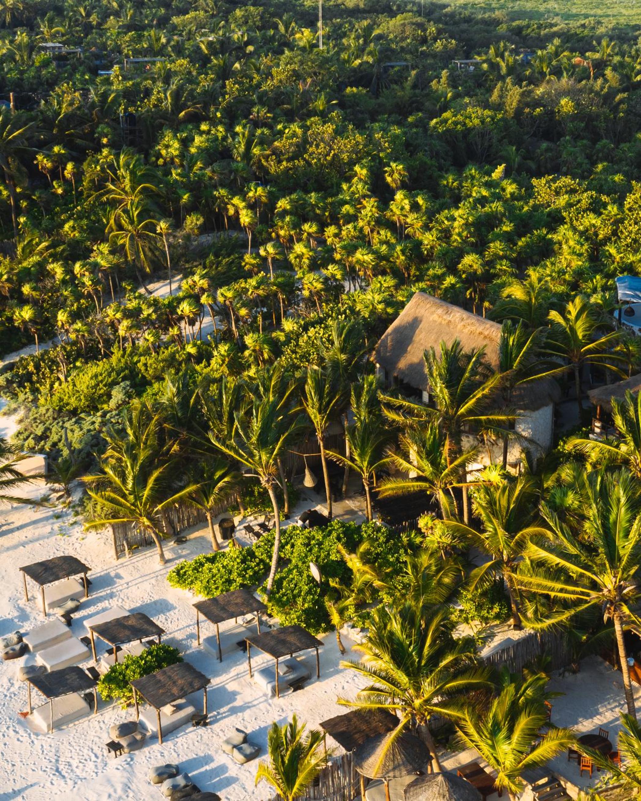 NEST Tulum