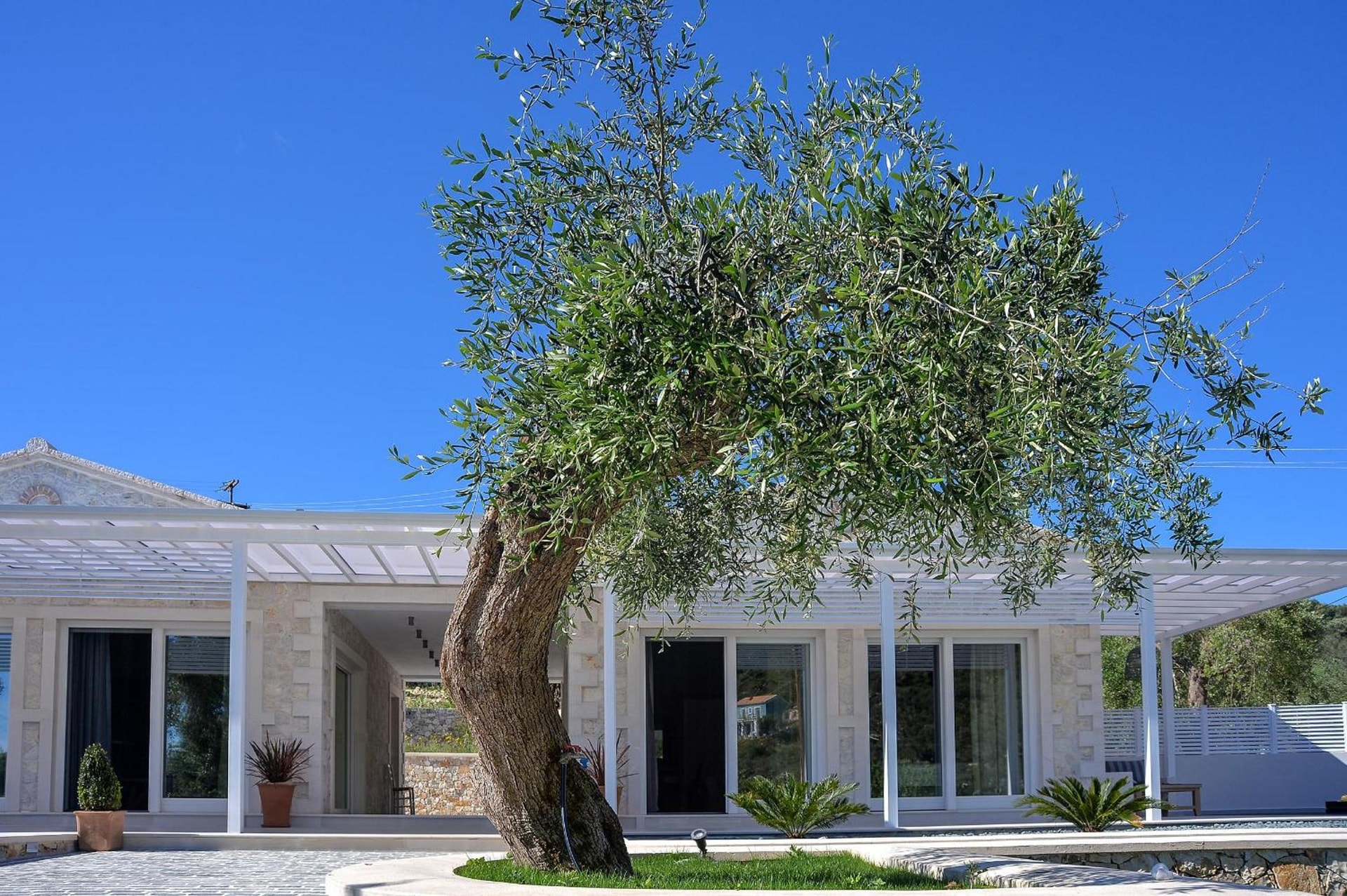 Paxos Luxury Living Junior Suites