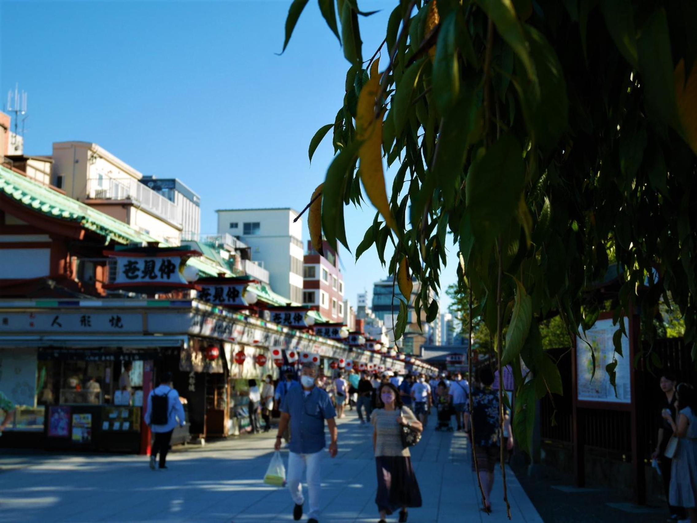 HOTEL TAVINOS Asakusa