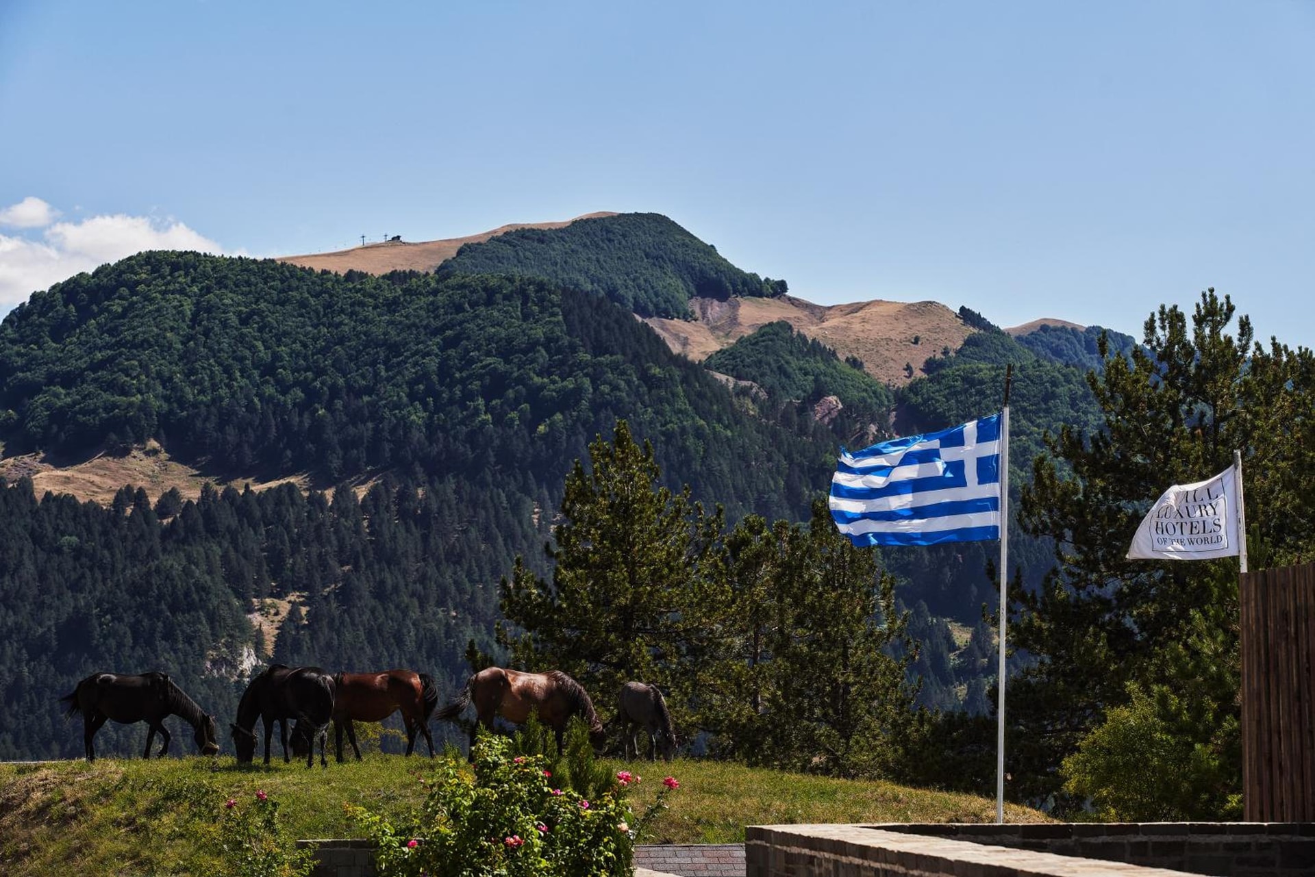 Grand Forest Metsovo - Leading Hotels of the World