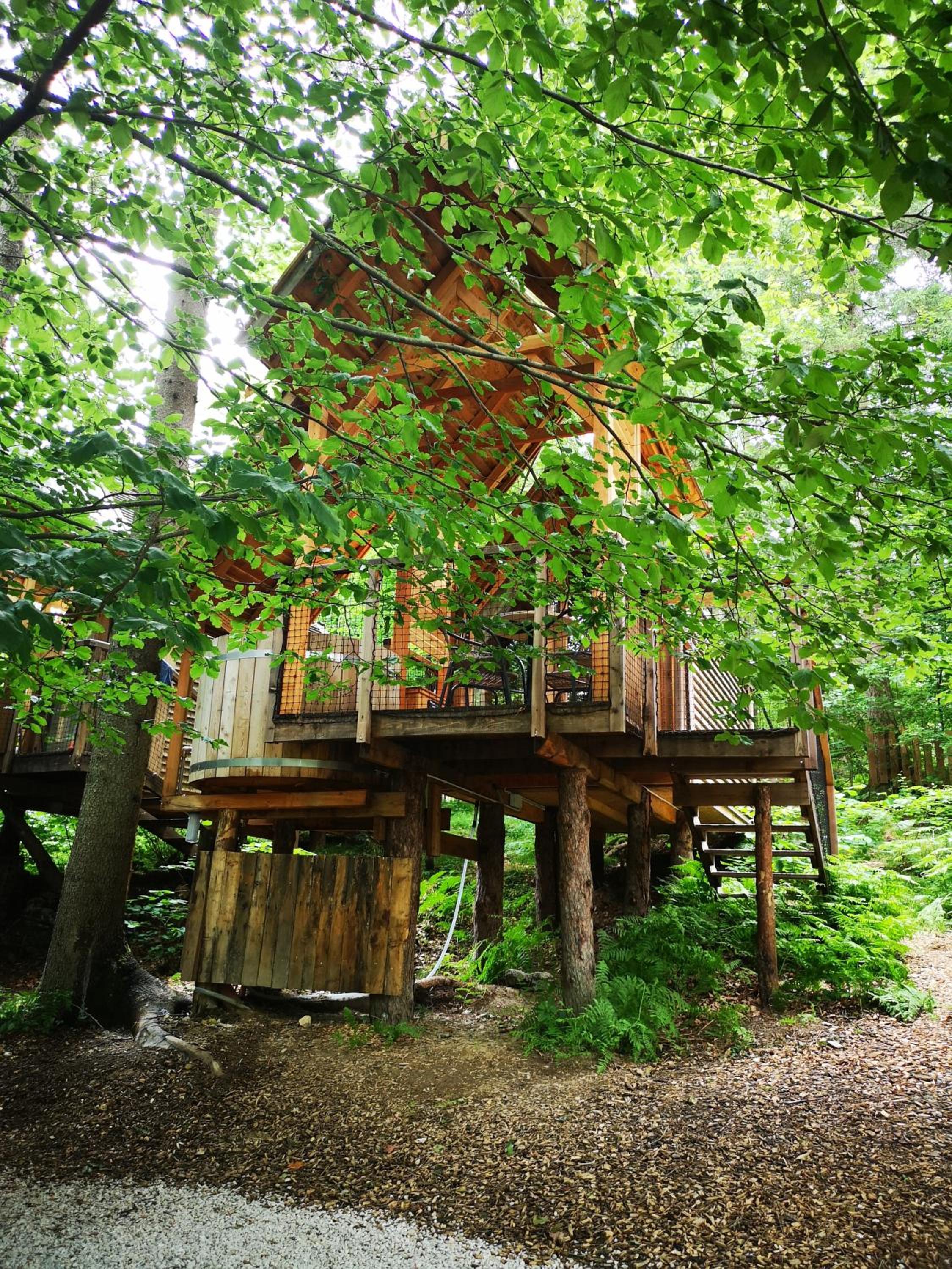 Ribno Alpine Glamping