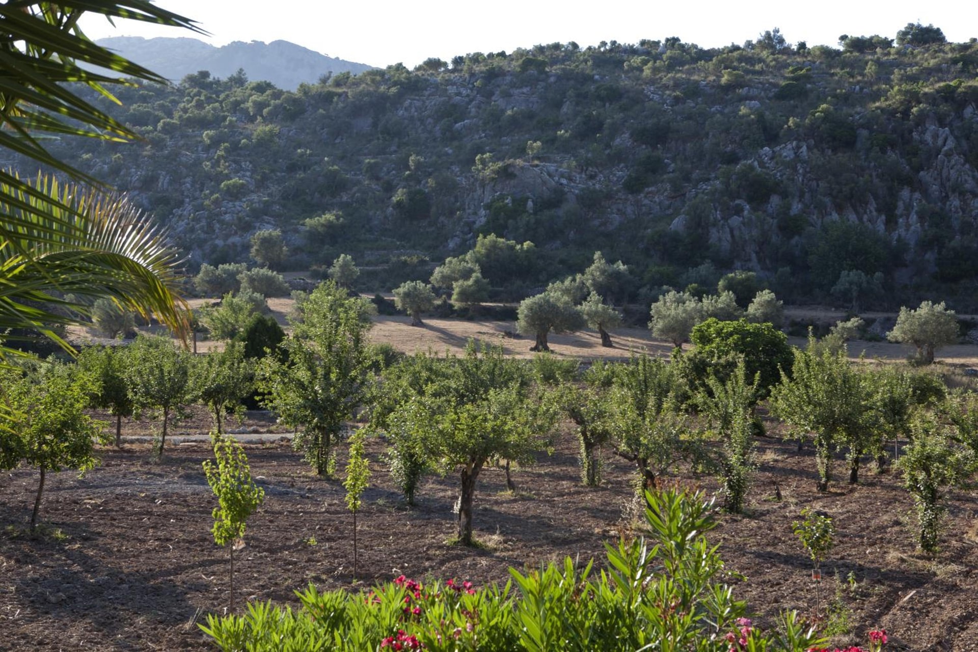 Hermitage Mallorca Hotel & Spa
