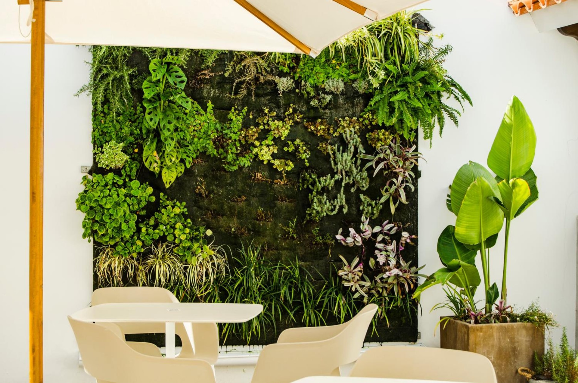 Hotel Anfora Ibiza