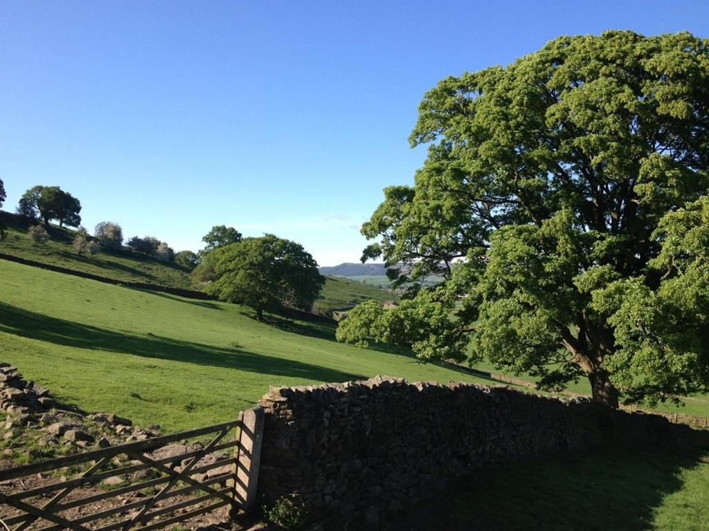 Throstle Nest Farm