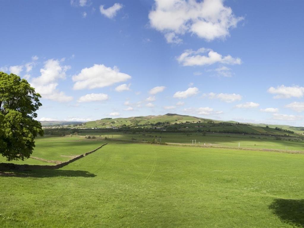 Throstle Nest Farm
