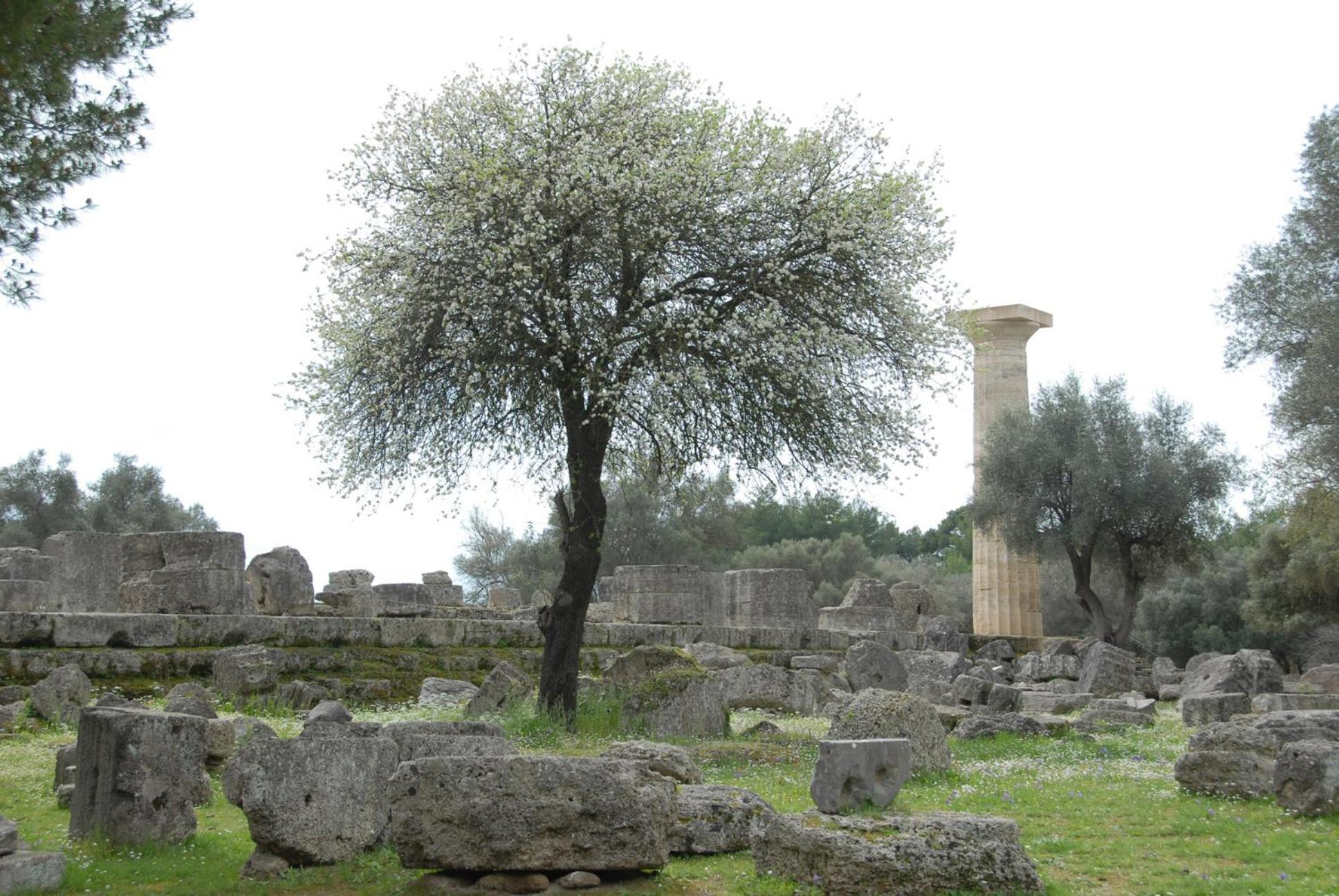 Fotis Rooms