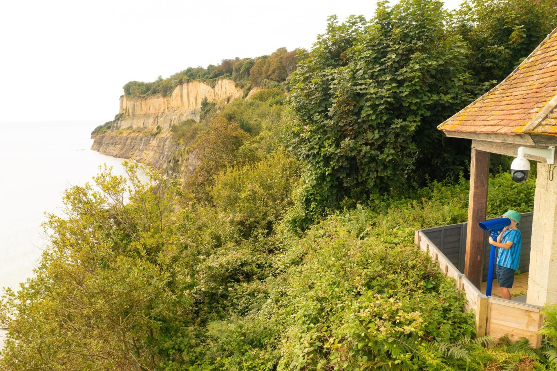 Luccombe Manor Country House Hotel