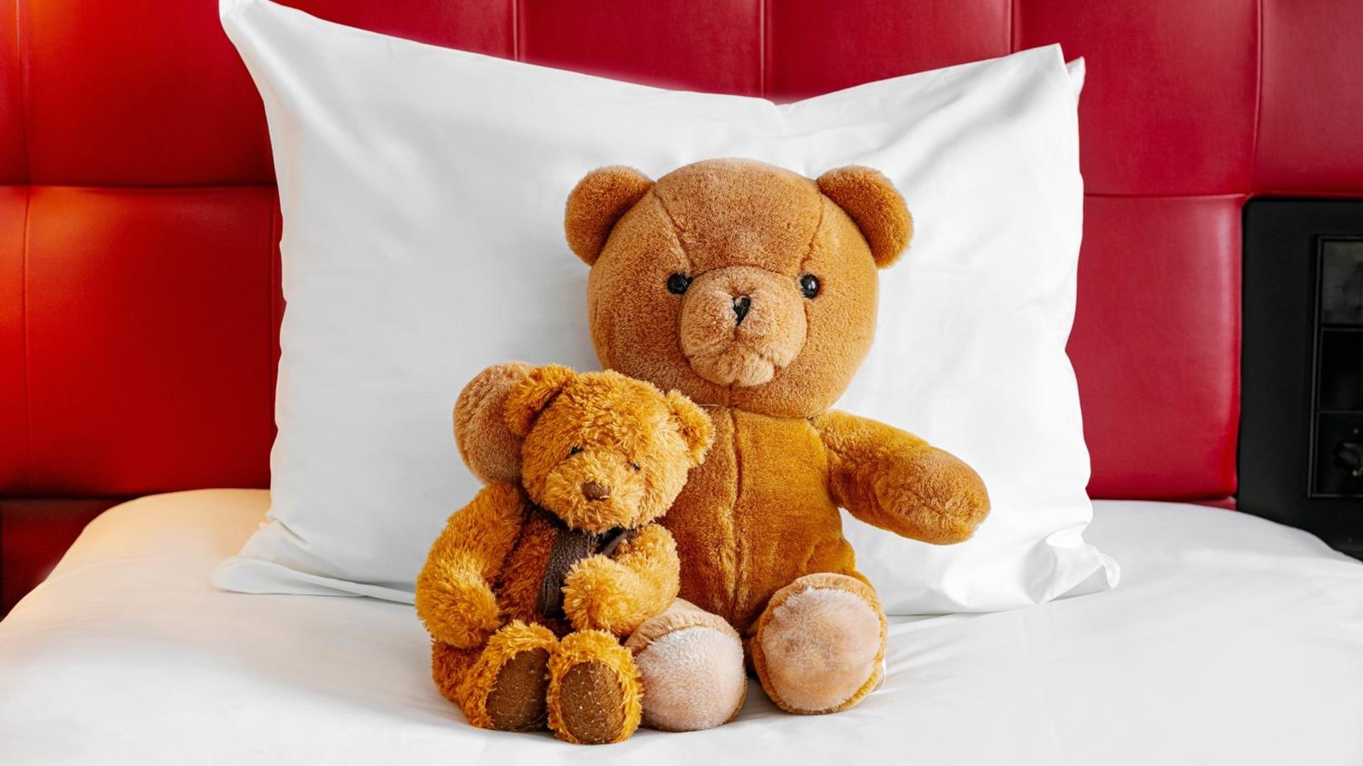 Crowne Plaza Amsterdam - South by IHG