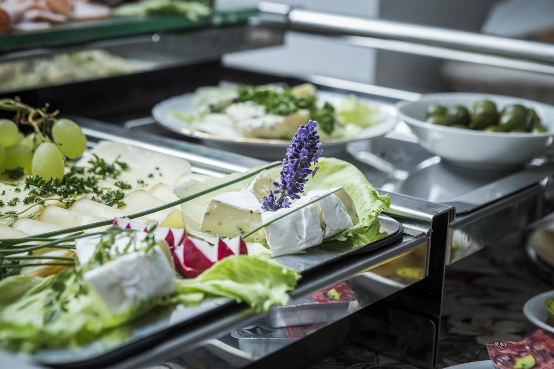 Wellness & SPA boutique Hotel pod lipkami Prague