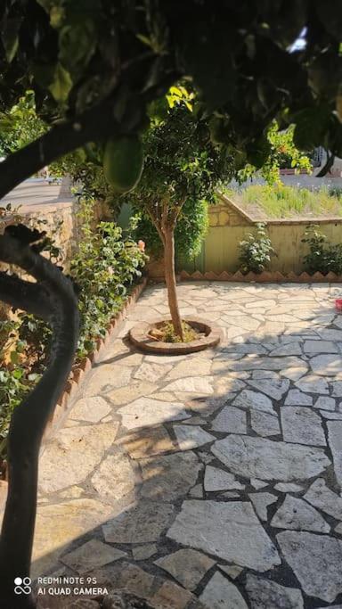 Villa in Skafidia overlooking the Ionian Sea
