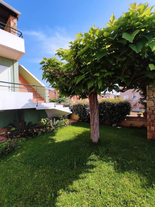 Villa in Skafidia overlooking the Ionian Sea
