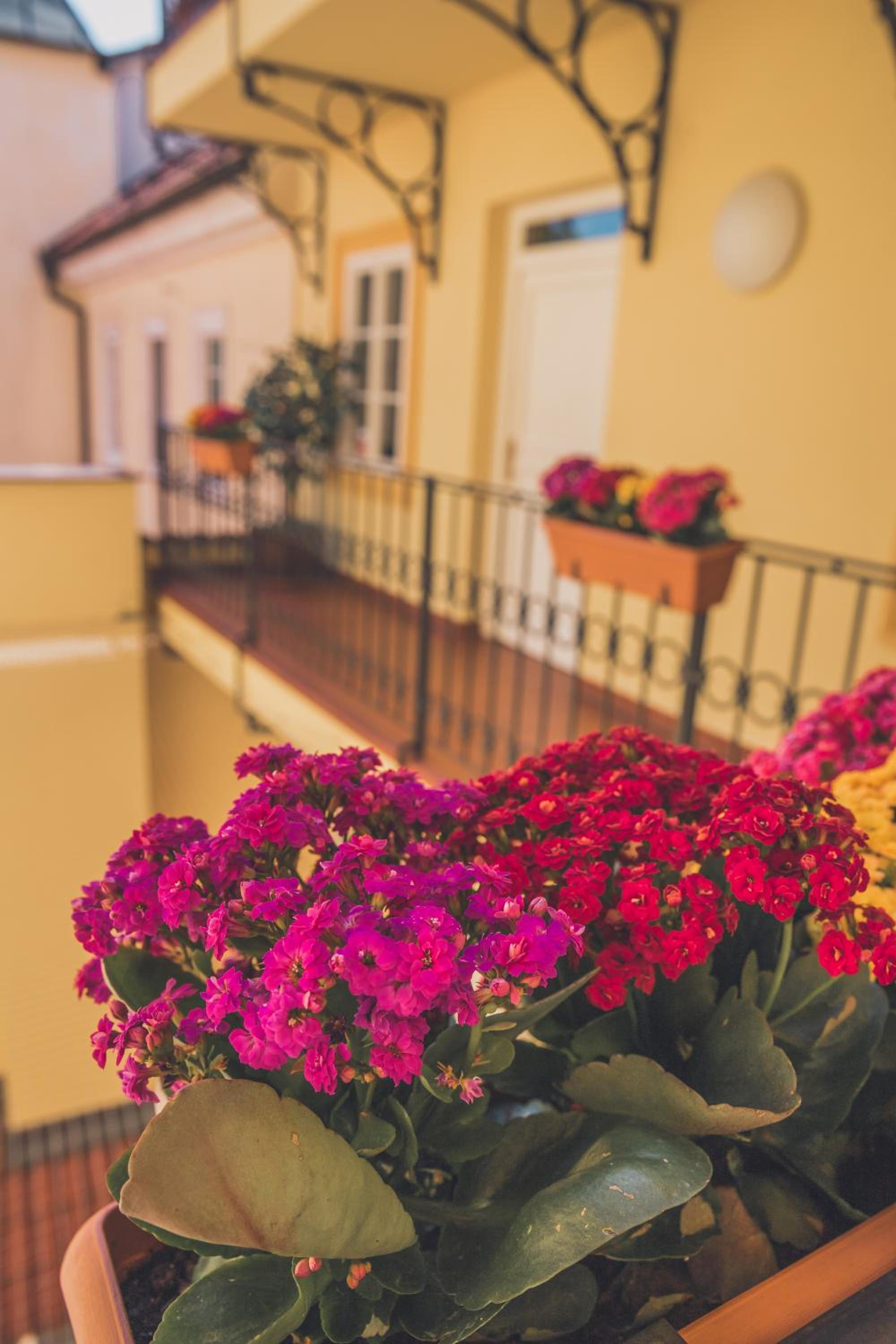 Boutique Hotel Constans
