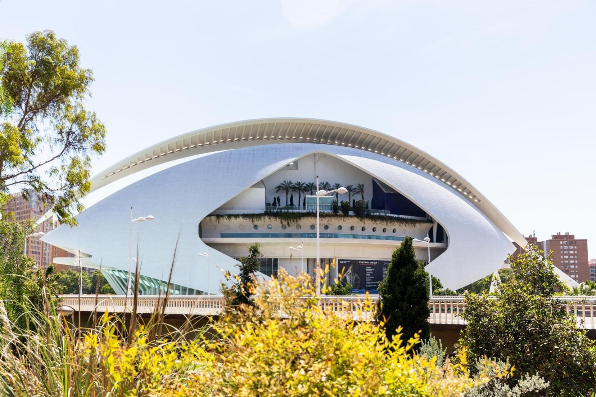 Moontels Valencia Alameda 41