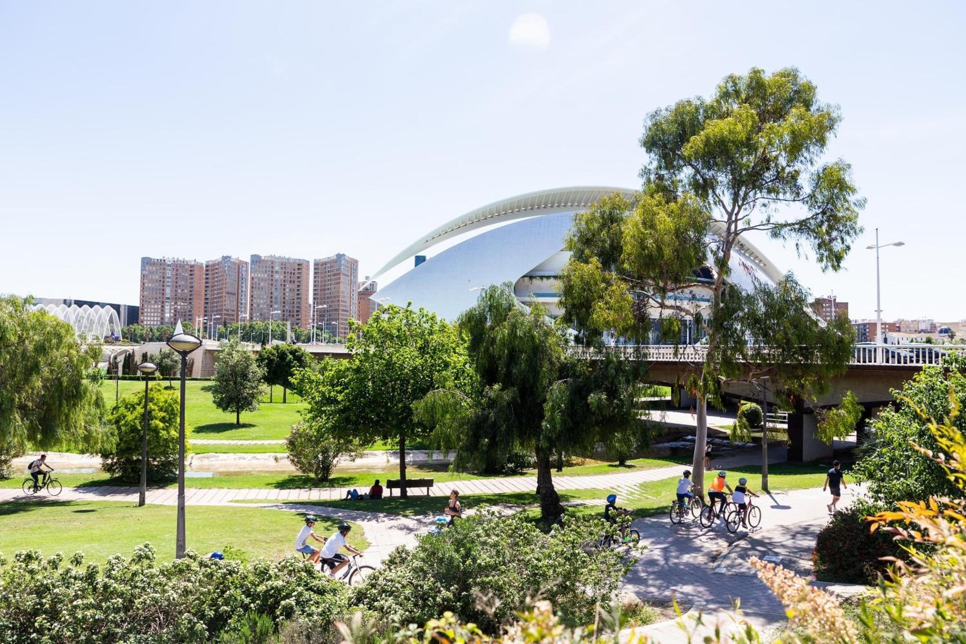Moontels Valencia Alameda 41