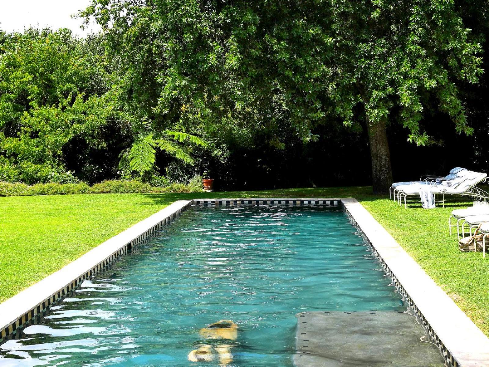 Constantia Klein