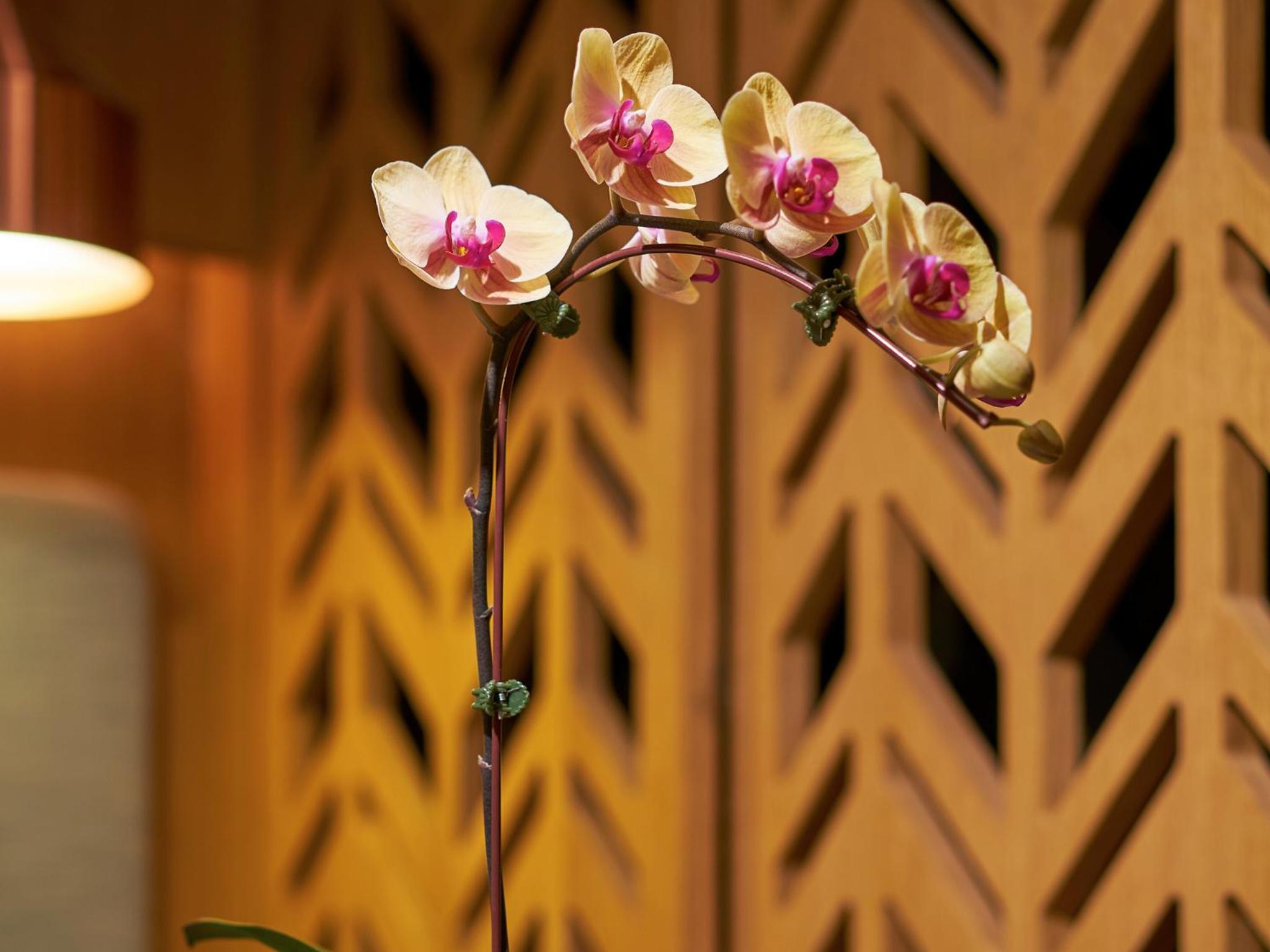 Oasia Hotel Downtown, Singapore by Far East Hospitality